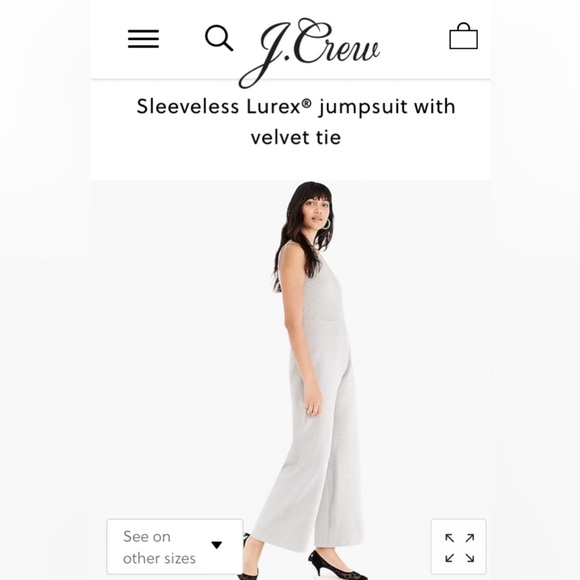 J. Crew Sleeveless Silver Lurex Jumpsuit, size medium - Picture 1 of 5